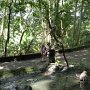 Monkeyforest - Ubud